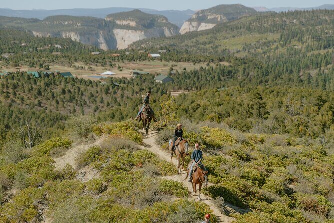 East Zion Pine Knoll Horseback Ride - What the Reviews Say