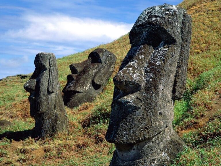 Easter Island: Moai Full Day Private Tour - What You Can Expect from the Tour