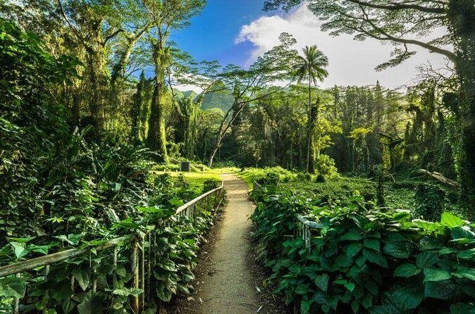 Easy Private Hike in Honolulu (Choose 1 of 2 trails) 2-4hrs - Who Should Consider This Tour?