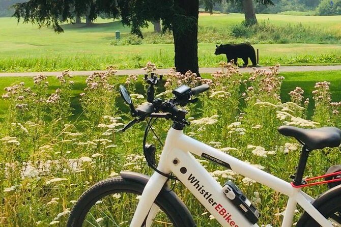 eBike Adventure in Whistler - Key Points