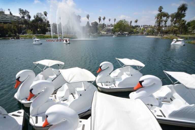 Echo Park Lake: Swan Pedal Boat Rental - Practical Details