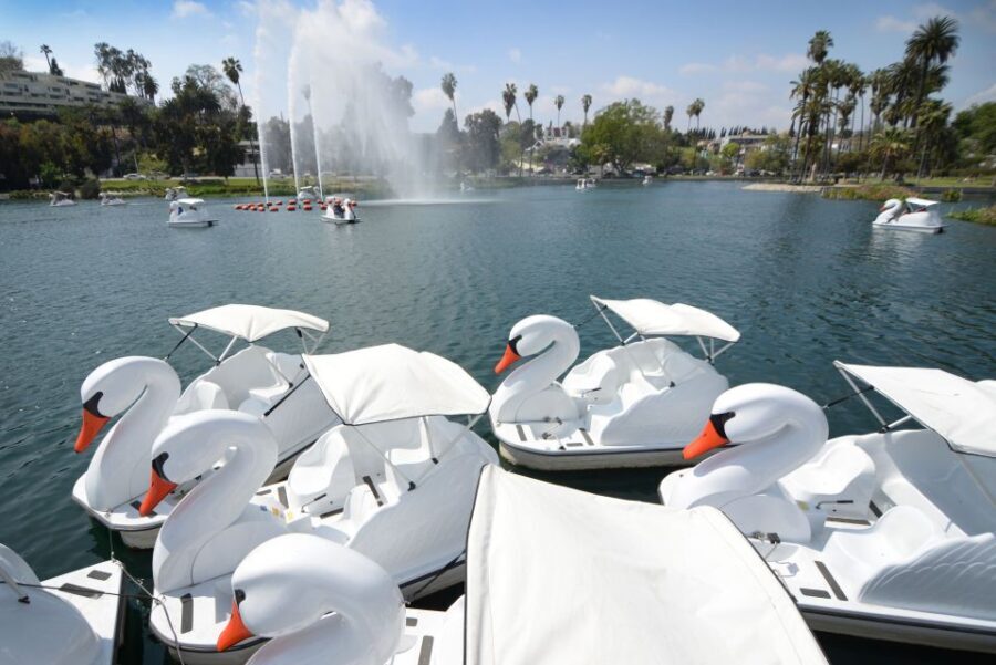 Echo Park Lake: Swan Pedal Boat Rental - Practical Details