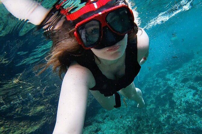 Eco Adventure Cenotes Casa Tortuga!+ Tulum Ruins From Cancun & Playa Del Carmen - Authentic Experiences & What You’ll Remember