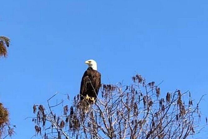 Eco Adventure Scenic Wildlife Boat Cruise - The Itinerary: What Makes Each Part of the Tour Special