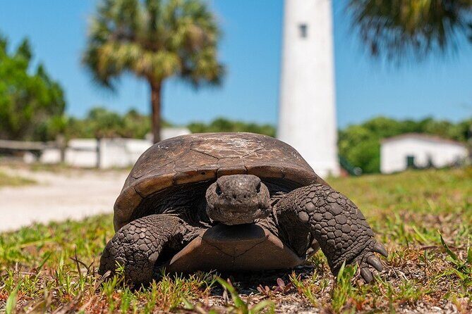 Egmont Key Ferry from Ft. DeSoto Park - FAQ: Common Questions About the Egmont Key Ferry