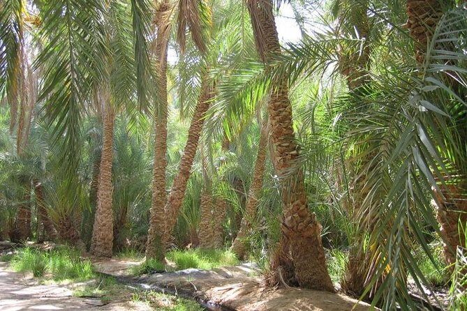 Egypt Countryside Trip - Who Will Love This Tour?