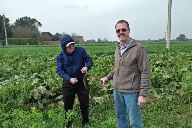 Egypt Day tour in countryside - Who Should Consider This Tour?