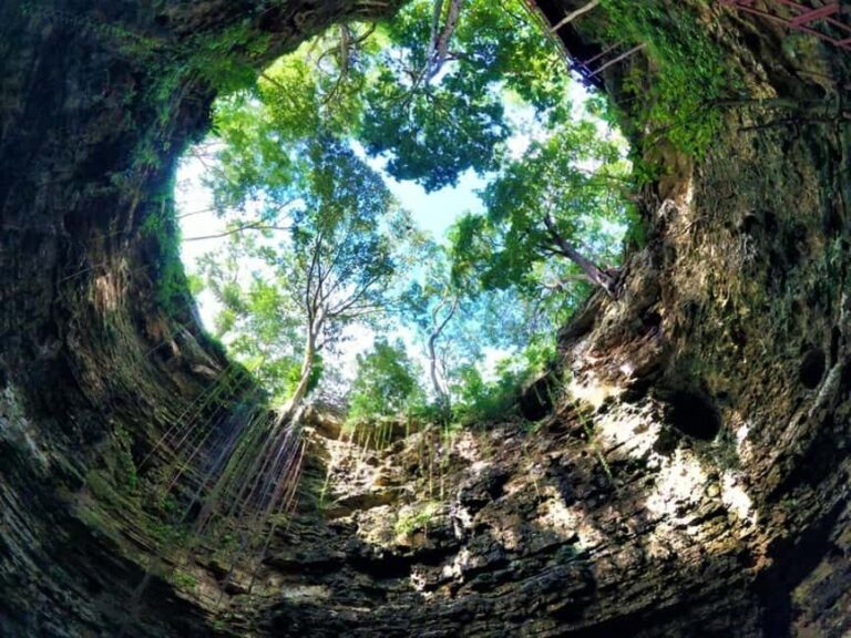 Ek Balam: Plus Cenote Swimming and Valladolid City - Practical Details and Value