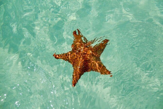 El cielo Cozumel From Cancún and round Transfer with Lunch - Why This Tour Works Well