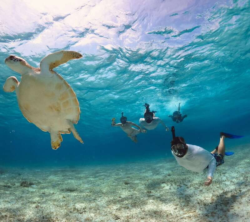 El Cielo Cozumel private snorkel tour - Practical Details: What to Know Before You Go