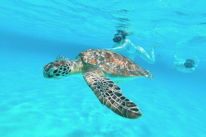 El Cielo Cozumel Snorkel Private Boat + Food + Drinks + Beach - Who Will Love This Tour?