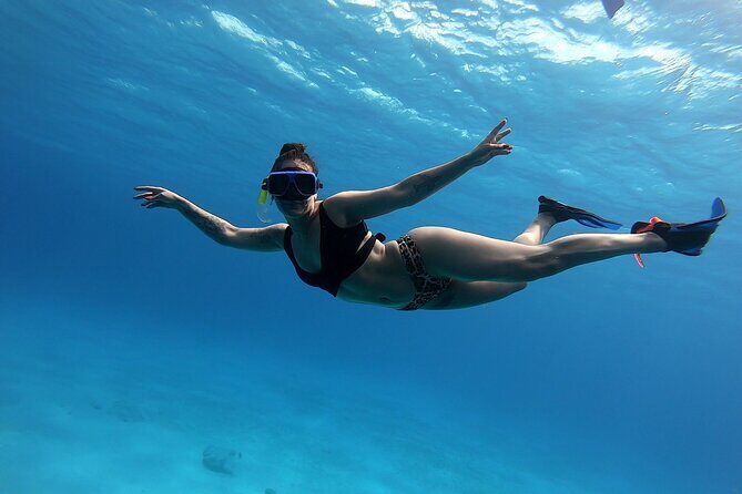 El Cielo Cozumel Snorkeling by Private Boat - The Value Proposition
