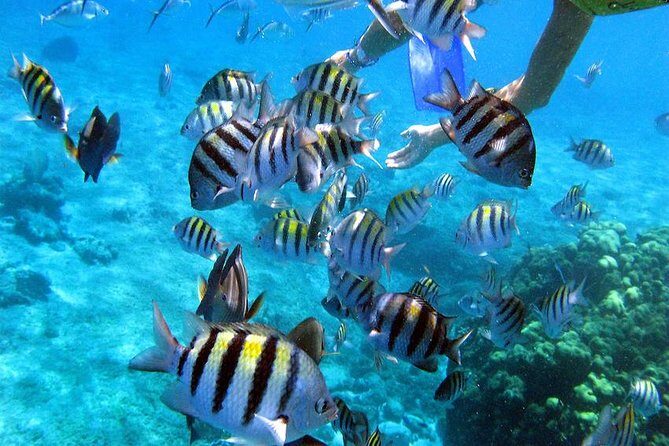 El Cielo Cozumel - Practical Considerations