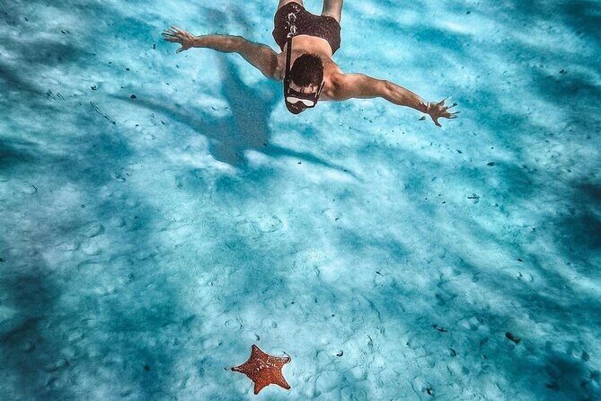 El Cielo Snorkeling Adventure in Cozumel - Authentic Experiences and What Travelers Say