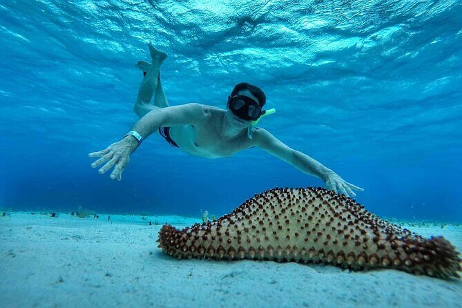 El Cielo the Breathtaking Snorkel Tour of Cozumel Cielito Beach & Lunch Included - Who Should Consider This Tour?