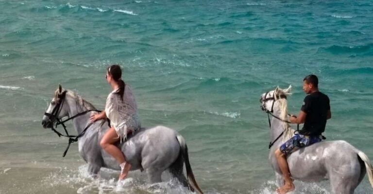 El Gouna: Desert & Sea Horse Riding With Swimming Optional - Who Will Love This Tour?
