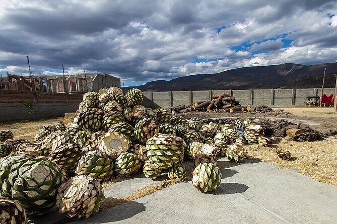 El Tule, Teotitlán, Mitla, Hierve el Agua and Mezcal Factory - A Thorough Look at the Tour Experience