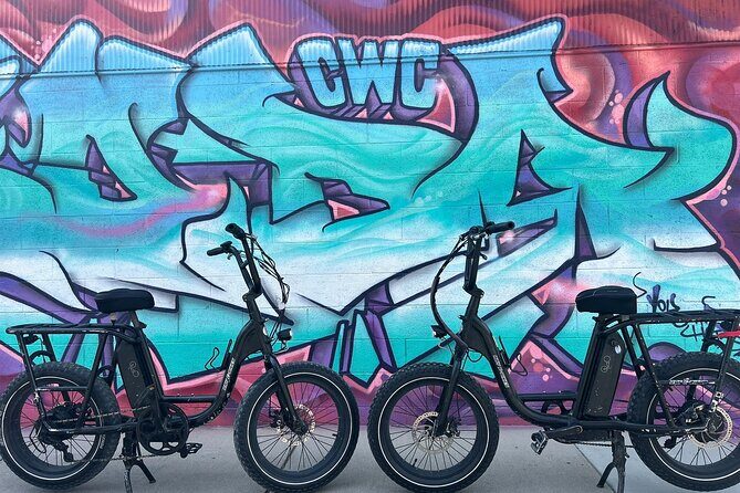 Electric Bike Rentals with Free E-Bike Delivery - Overview of the Electric Bike Rental Experience