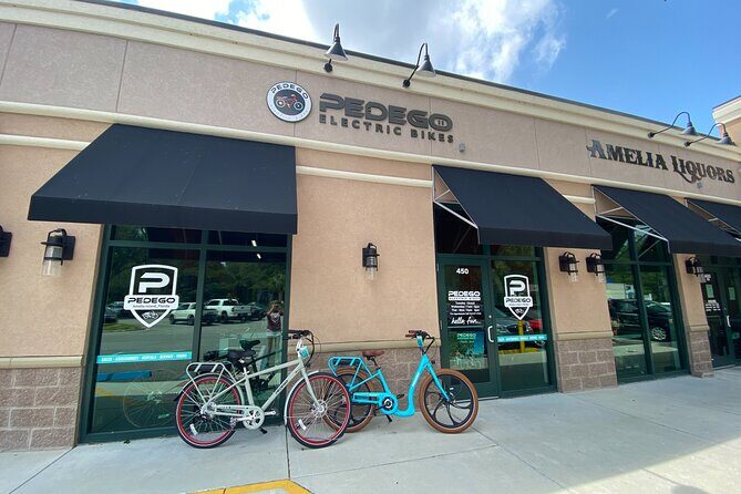 Electric Bike Tours in Amelia Island - Overview of the Electric Bike Tour in Amelia Island