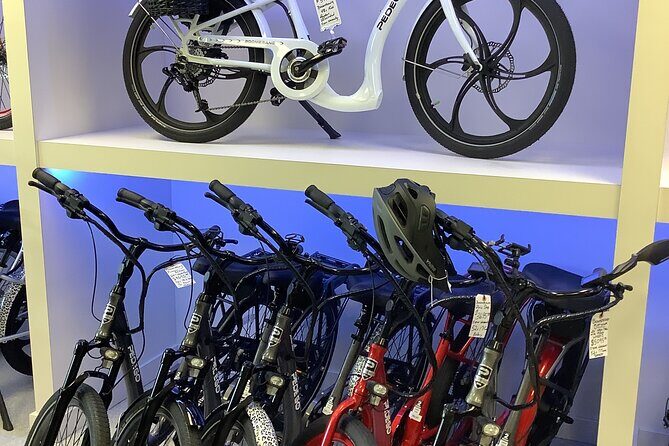Electric Bikes Rental in Dunedin - What to Expect During Your E-Bike Rental