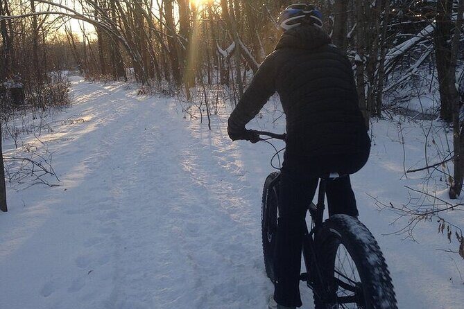 Electric Fatbike Tour in Québec City - The Experience’s Value and Practical Considerations