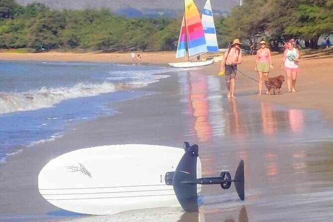 Electric Foilboard rides/lessons/sessions at Sugar Beach, Maui - What to Expect During Your Session