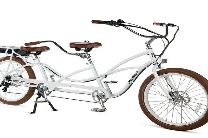 Electric Tandem Bike Rental in South Beach - Who Is This Experience Best For?