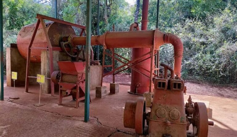 Elephant Orphanage and Karen Blixen Museum Day Tour - Who Will Love This Tour?
