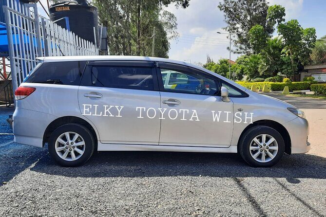 Elkydianibeachtaxis - Why Elkydianibeachtaxis Is a Good Fit