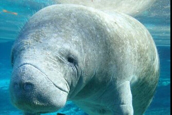 Set out on a Professional and Passionate Scuba Diving Adventure!" - What You Can Expect During the Tour