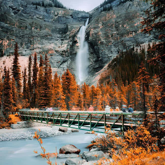 Emerald Lake, Wapta Falls & Takakkaw Falls in Yoho - Transportation and Group Size