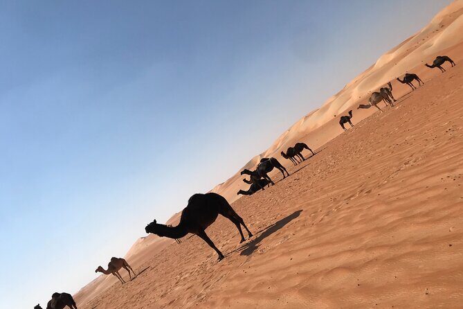 Empty Quarter Sunset Desert Safari - Does the Price Offer Good Value?