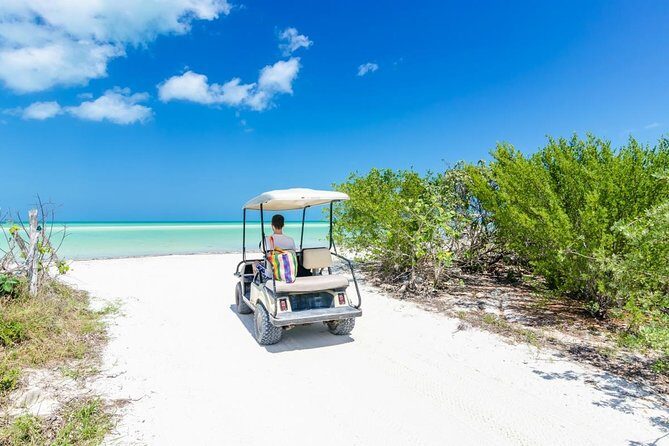 Enchanting Holbox Tour. Experience the paradisiacal beaches of the island. - Why We Think This Tour Offers Good Value