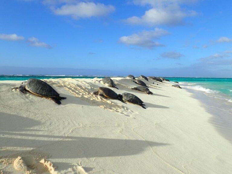 Enchanting Small Group Circle Island Tour of Oahu paradise - The Itinerary: Highlights and What They Mean for You