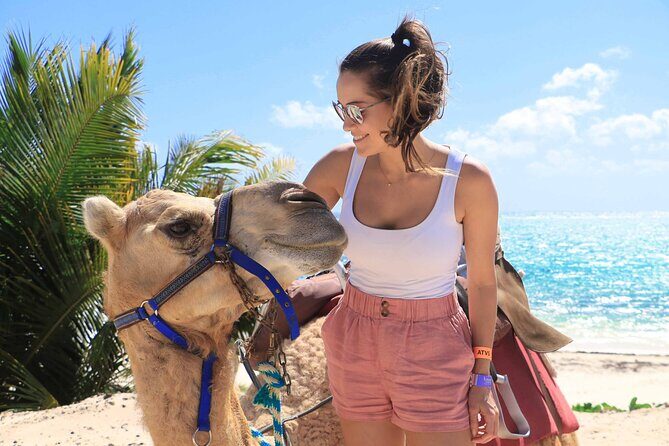 ENJOY UNIQUE CAMEL RIDE in Puerto Morelos with Transportation - The Value of This Experience