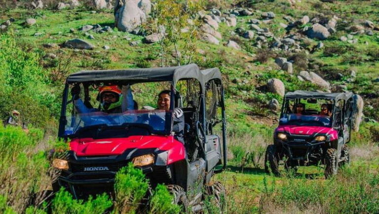 Ensenada: ATV and Side-by-Side Mountain Adventure - The Experience: What Makes It Stand Out?