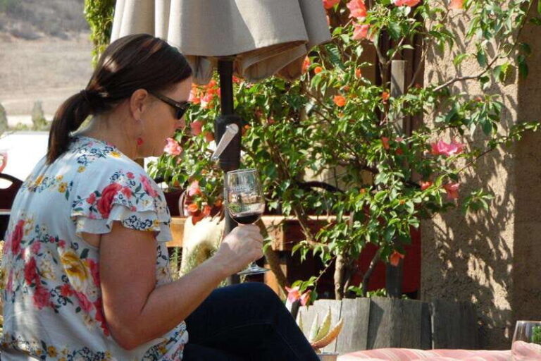 Ensenada: Guadalupe Valley Wine Route Private Tour - The Practical Side: What You Should Know
