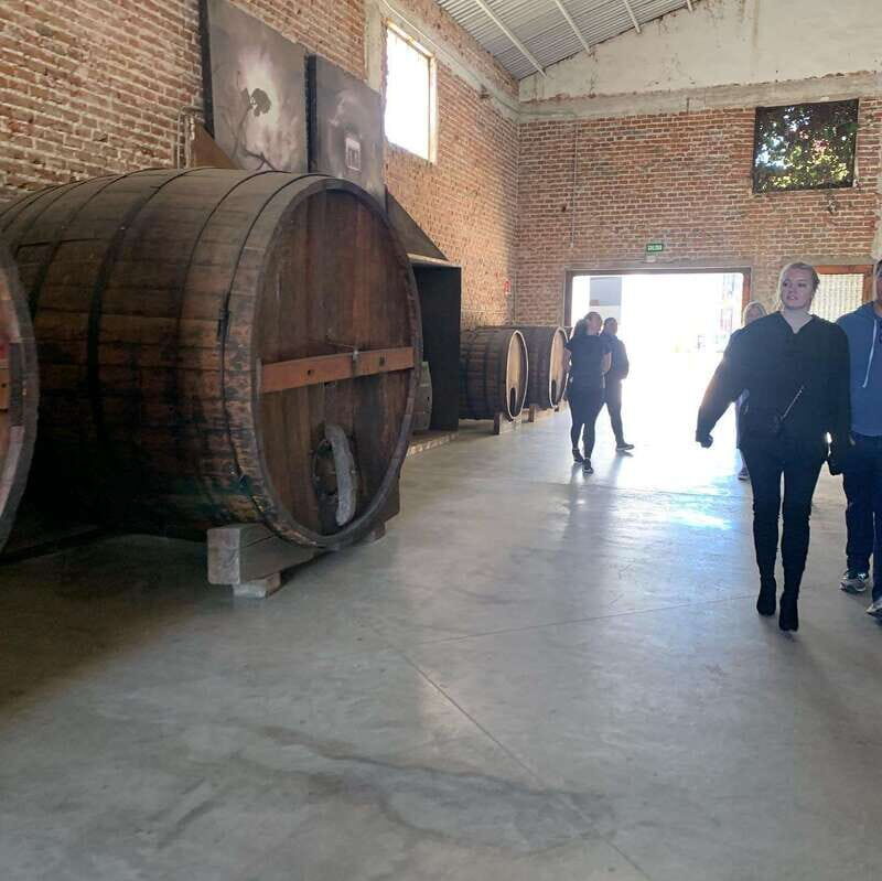 Ensenada: Guided City Highlights Tour with Margarita Tasting - Who Should Consider This Tour?