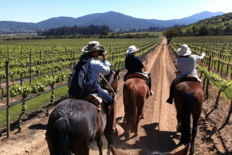 Ensenada: Horseback Riding at the Vineyards - What Do Travelers Say?