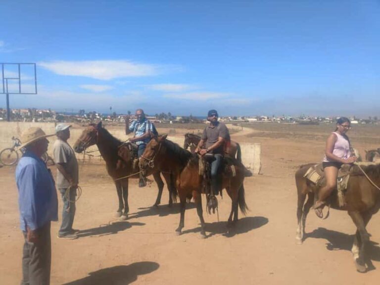 Ensenada: La Bufadora and Playa Hermosa Horseback Riding - The Practical Side