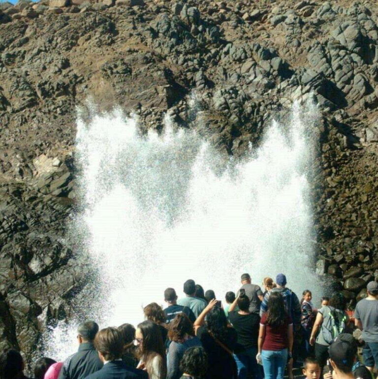 Ensenada: La Bufadora Guided Tour with Tequila Tasting - The Value of the Experience