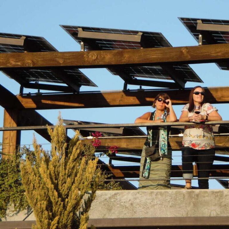 Ensenada: Old Wine Route Tour with 4 Winery Visits - Analyzing the Value