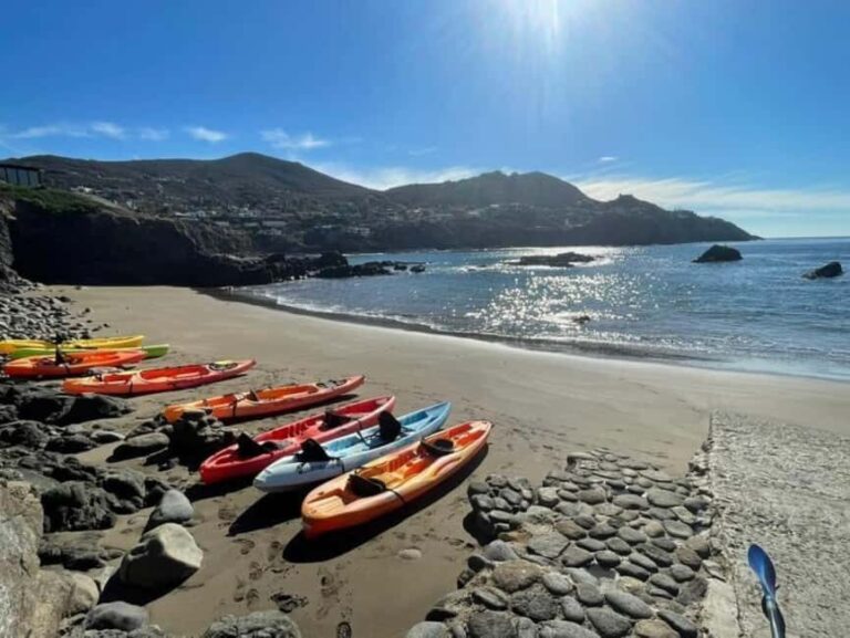 Ensenada: Private Kayak Tour to La Bufadora W/Transfer - Analyzing the Value