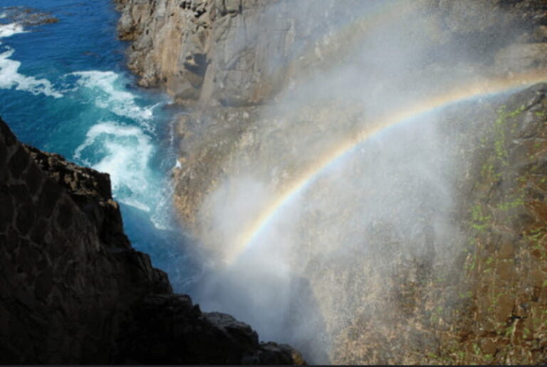 Ensenada: Private Tour to La Bufadora Geyser - How the Tour Holds Up: What Real Travelers Say