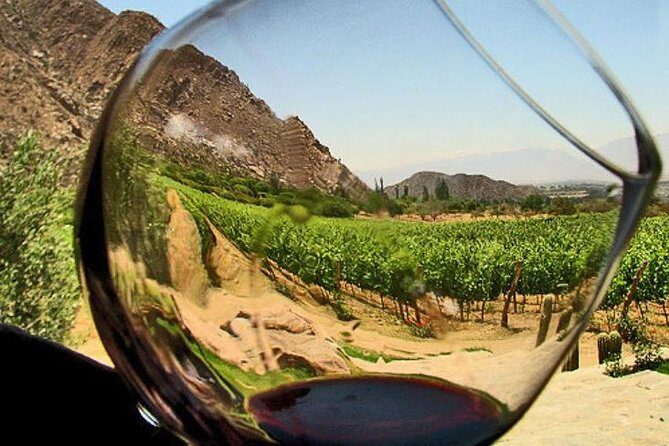 Ensenada Shore Excursion: Wine and Cheese Tour with Lunch in Ojos Negros Valley - Pricing and Value