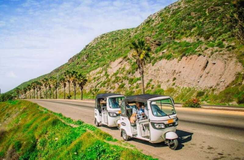 Ensenada: Street Gourmet Tour with Tacos and Drinks - Who Should Take This Tour?