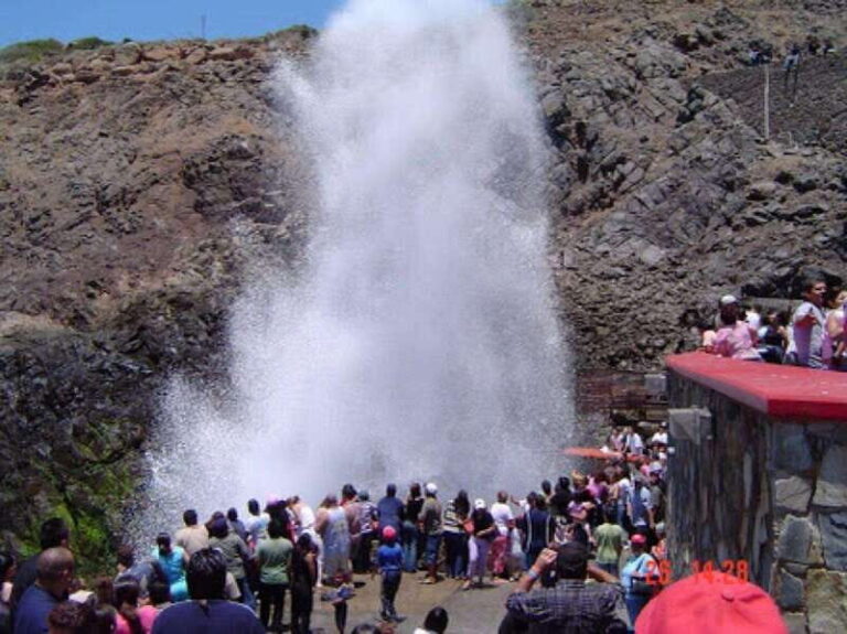 Ensenada : The unique bufadora private tour - The Value of the Tour