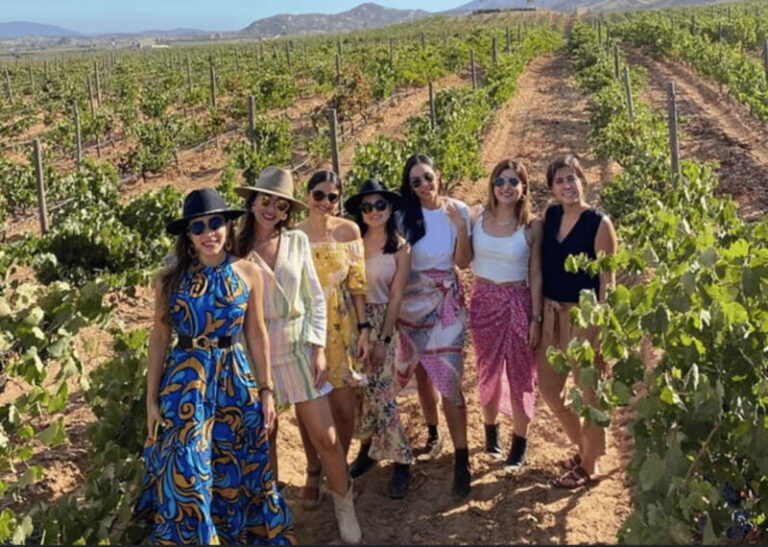 Ensenada: Valle de Guadalupe Wine Tasting Tour - The Logistics and Experience Details