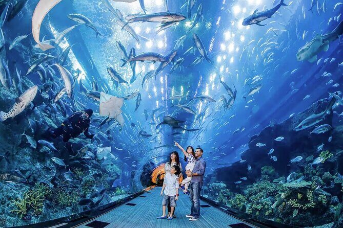 Entrance to Dubai Aquarium and Underwater Zoo - Authentic Experiences & Visitor Feedback