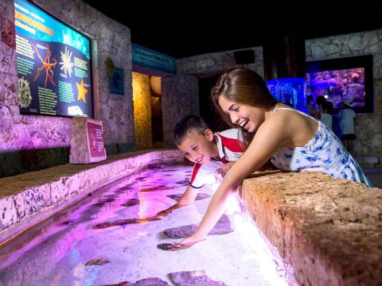 Entrance to Xcaret Adventure Park - Authentic Experiences and Review Insights